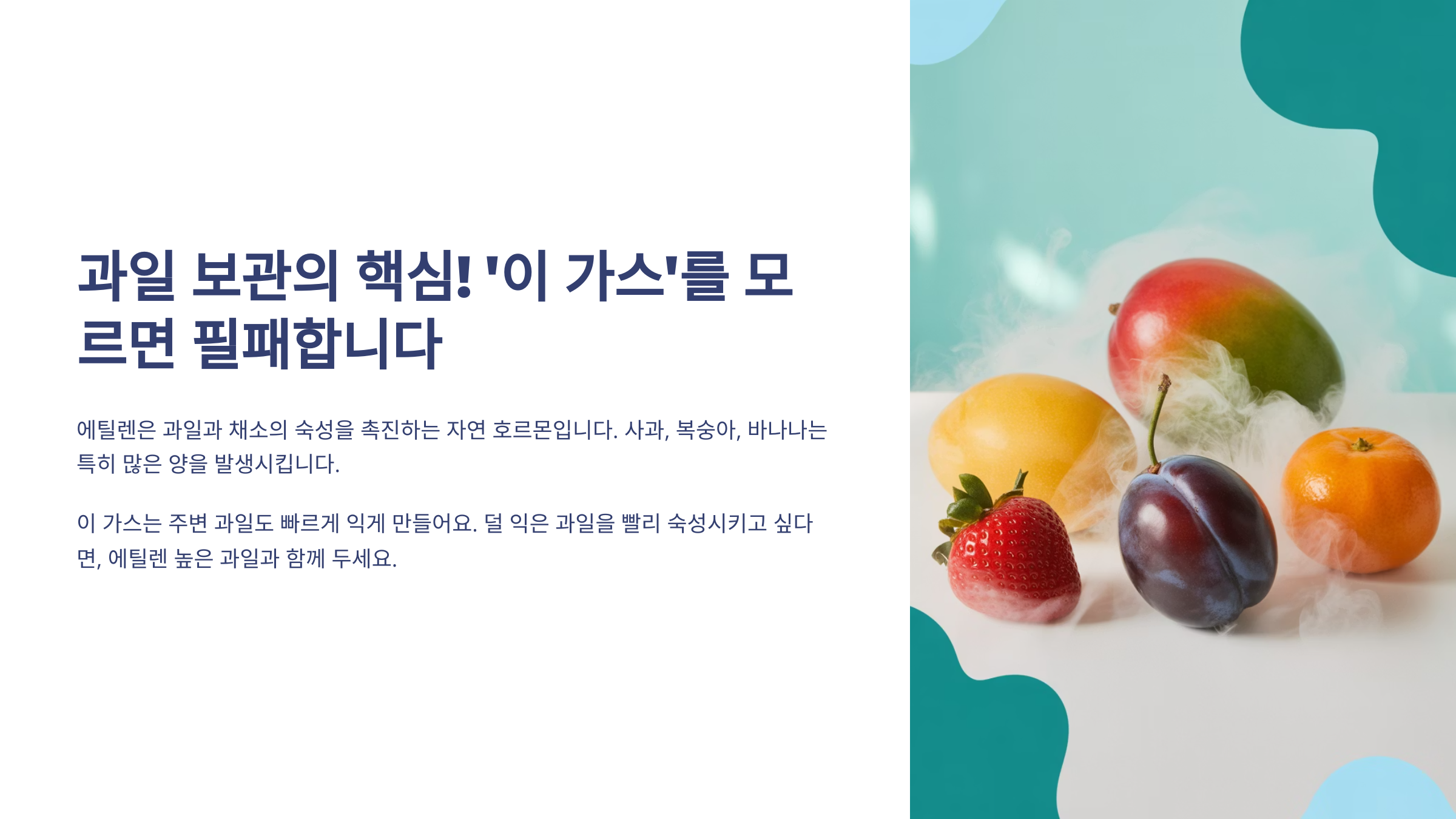 과일 보관의 핵심! '이 가스'를 모르면 필패합니다 (에틸렌 가스) 🌬