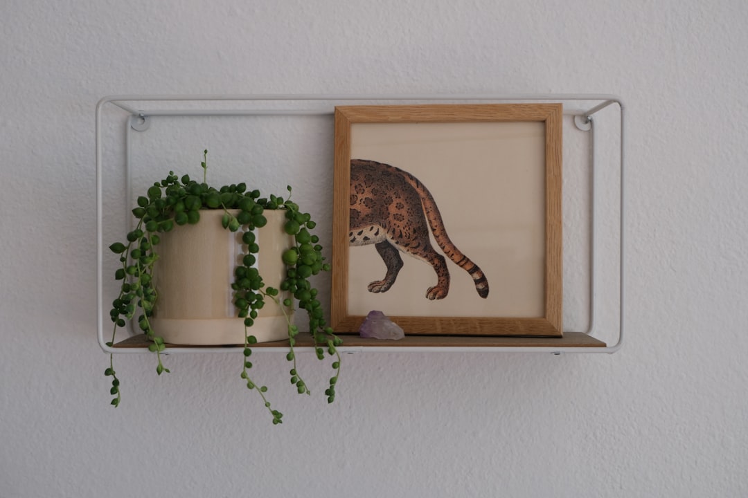 Furnishing