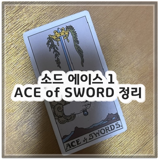 소드 에이스 1 ACE of SWORD 정리