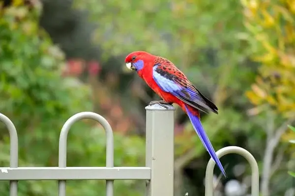 국민기초생활보장(수급자) 신청방법