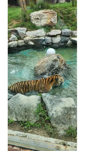 서울대공원 캠핑장 둘레길 동물원 입장료 맛집_3