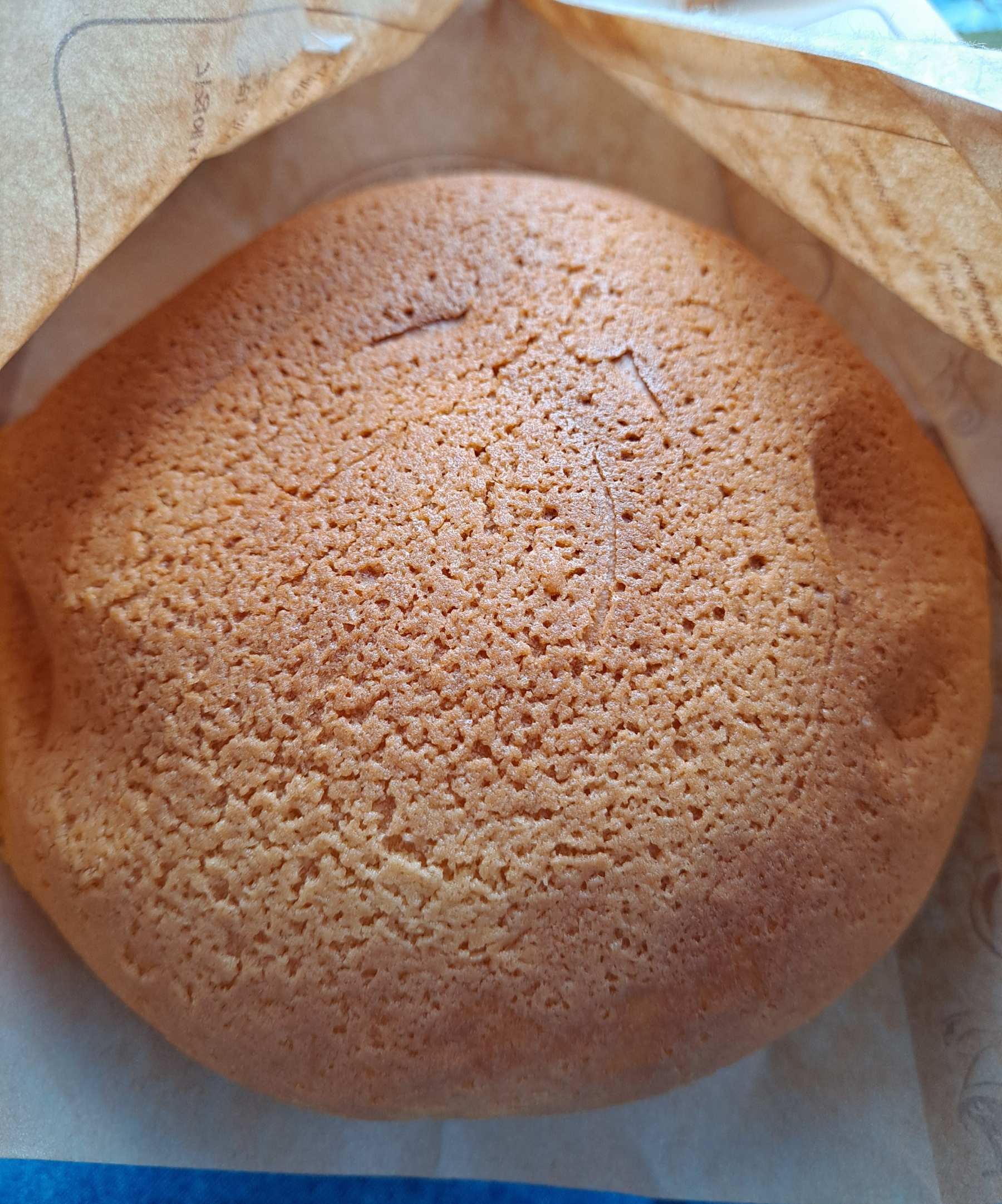 로띠번 바닐라번 모습