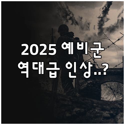 2025년 달라지는 예비군 동원훈련 ..