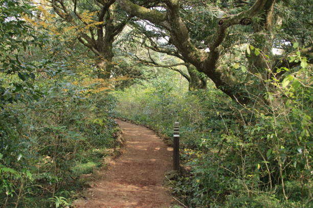 2025 난방비지원금 지원금액, 지급시기, 가구별 에너지 바우처 금액표