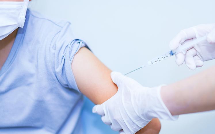 폐렴구균 예방접종 횟수, 무료접종 대상