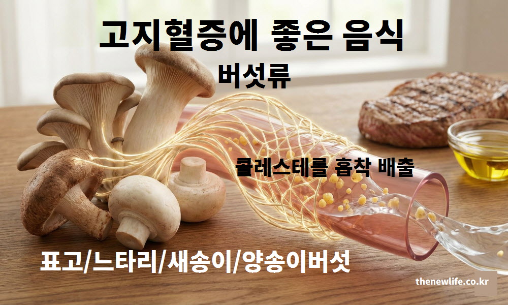 고지혈증에 좋은 음식인 버섯류의 기능을 요약한 이미지