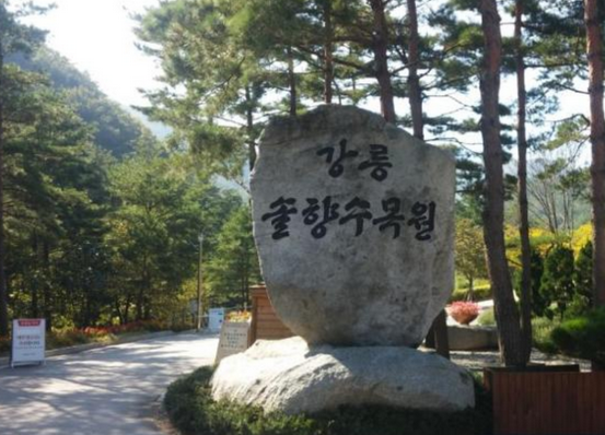 솔향수목원-입구