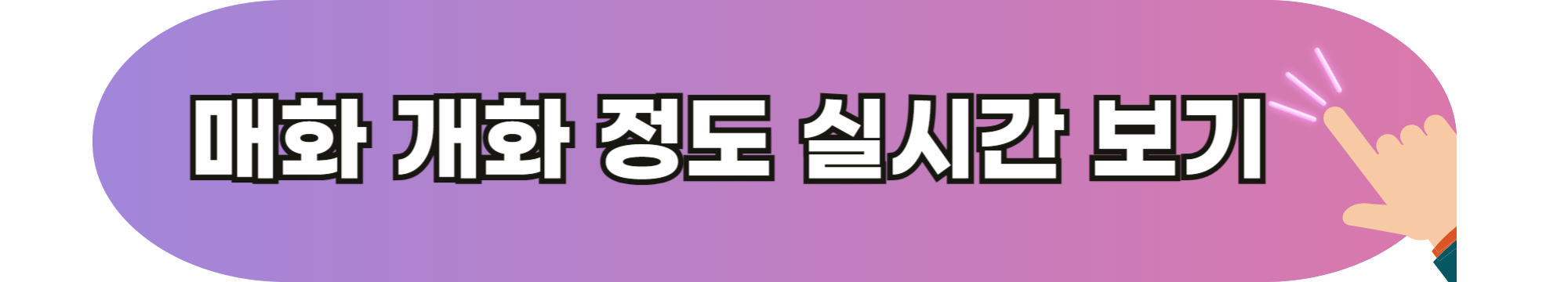 광양 매화 축제 2025 개화 시기