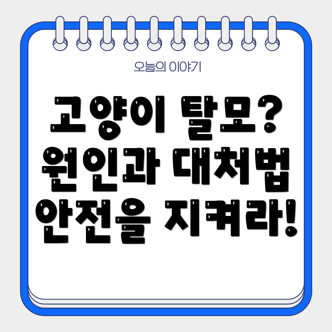 고양이 탈모