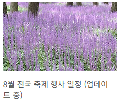 8월 축제