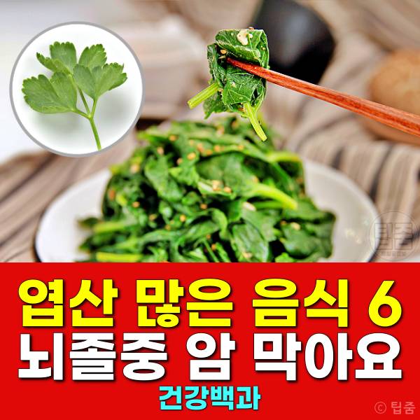 엽산 많은 음식 엽산음식 뇌졸중 심장마비