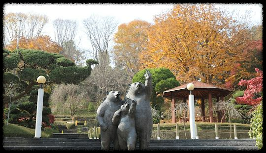 세종 베어트리 파크 단풍축제: 가이드 및 추천 코스