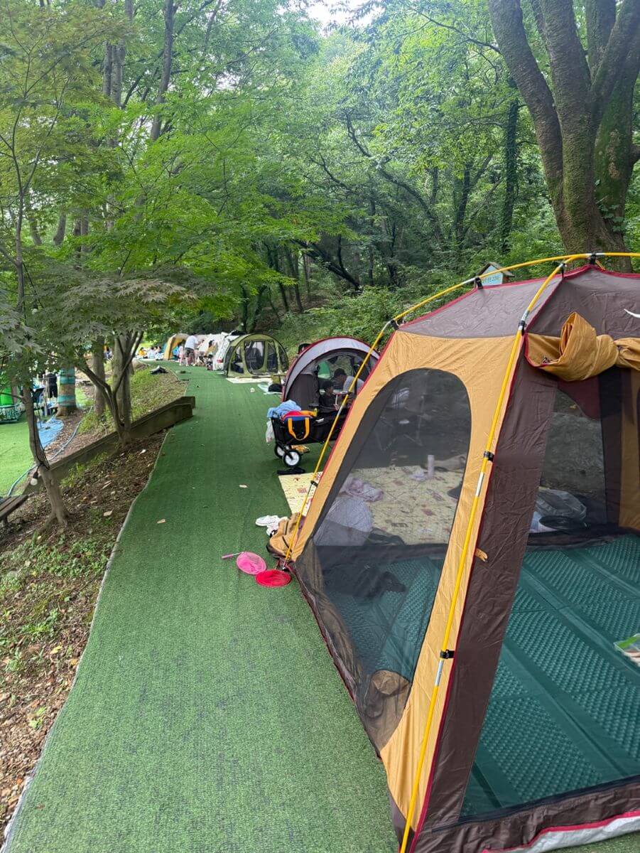 동천자연식물원 물놀이장 옆 숲길 돗자리 휴식 공간