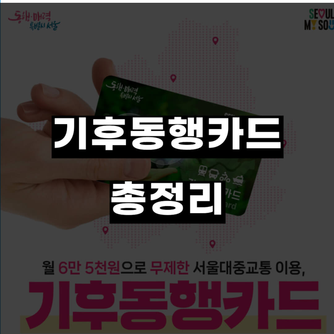 기후동행카드 총정리