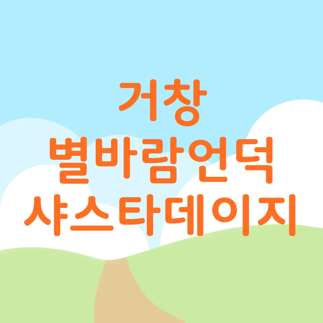 거창 별바람언덕 샤스타데이지