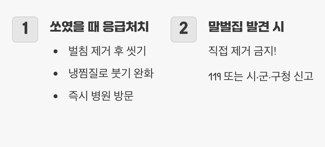 장수말벌 한 마리의 공격력, 꿀벌 500마리와 맞먹는다고? (독의 위력과 진실)