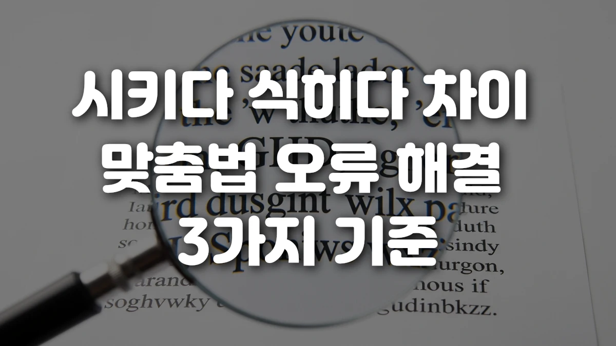 시키다 식히다 차이 맞춤법 오류 해결 3가지 기준