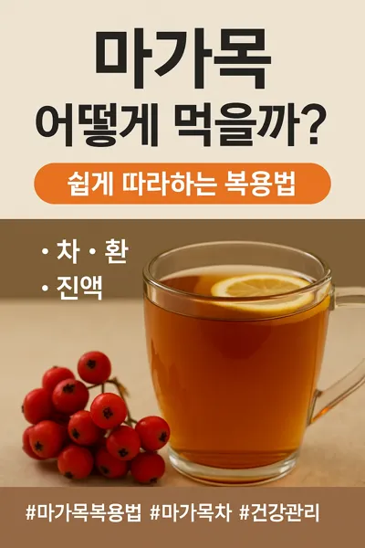 마가목 복용법 안내 썸네일