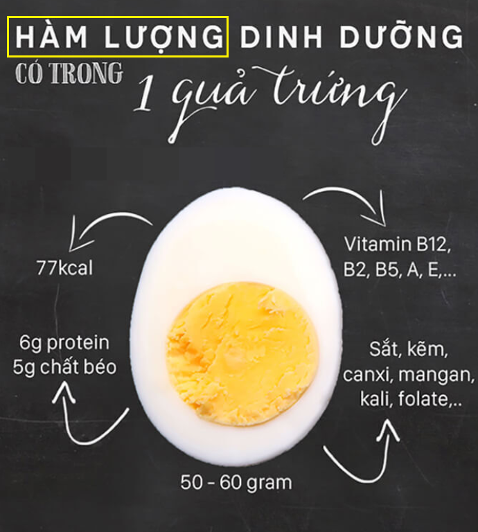 달걀 한 개의 영양성분