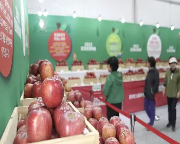 문경 사과축제_33