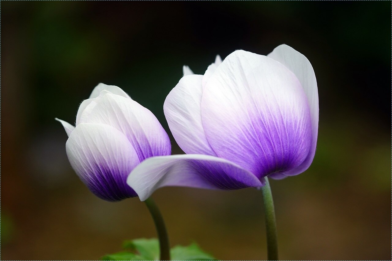 새마을금고 적금 이율