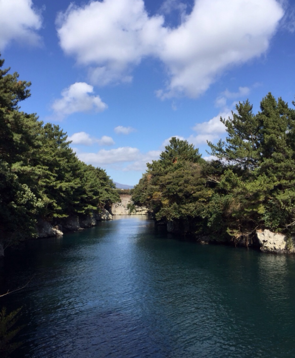 애견동반겨울여행지