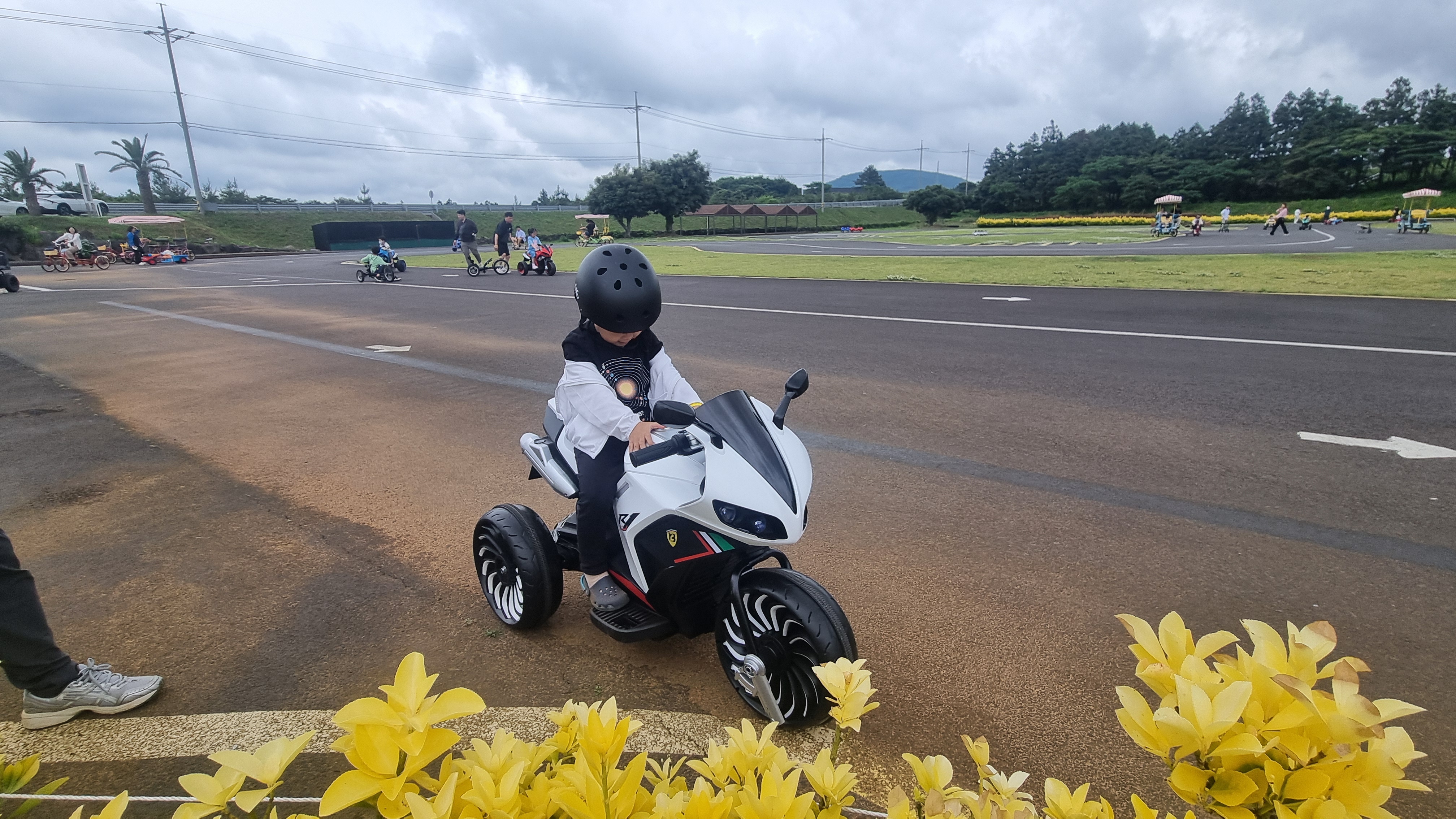 제주 목장카페 밭디