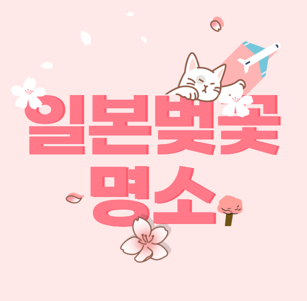 일본 벚꽃개화시기, 벚꽃명소