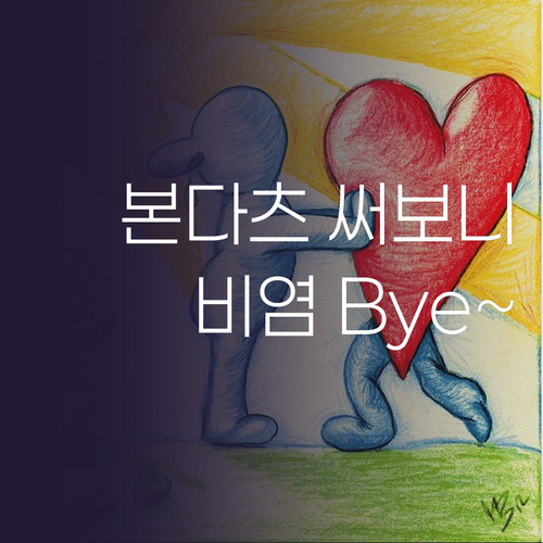 본다츠 침구청소기 써보니! 비염과 먼..