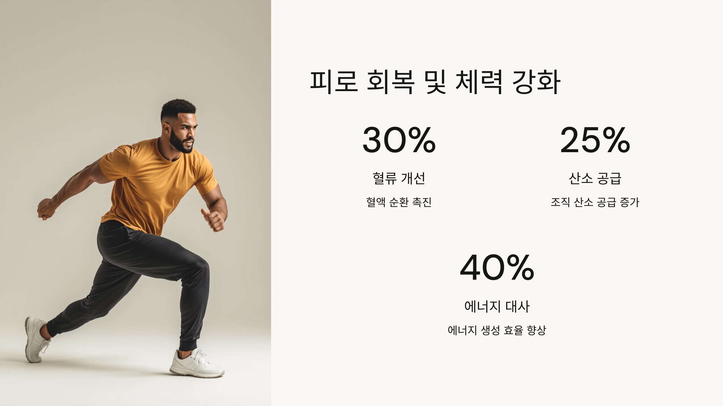 마늘 사진입니다.