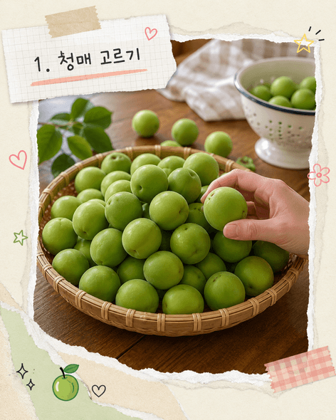 매실장아찌 담그는법