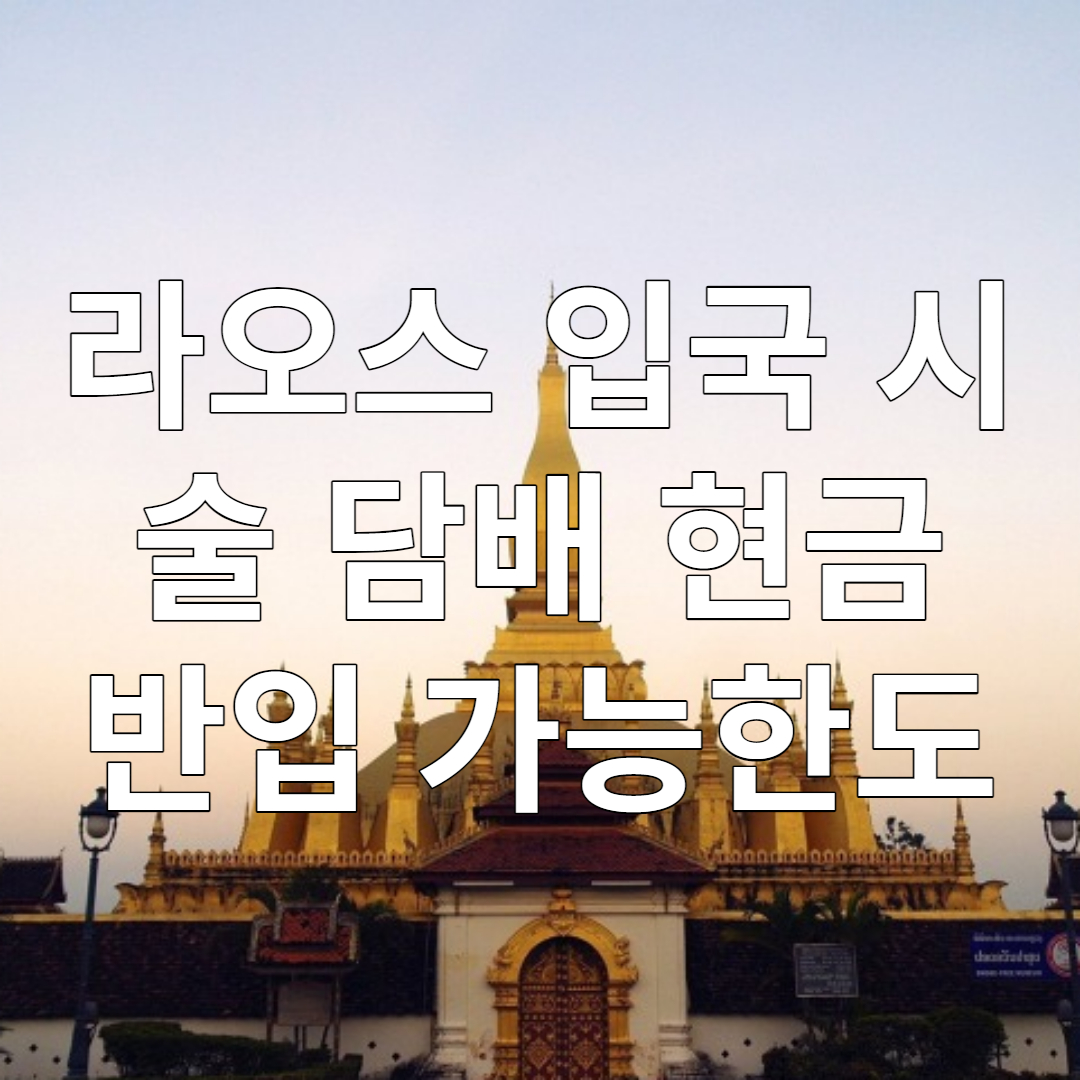 라오스 입국 시 술 담배 현금 반입 규정