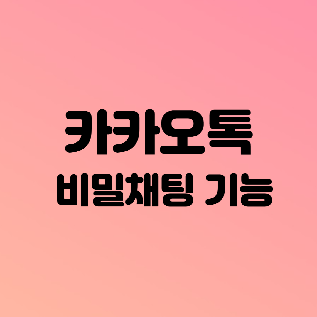 카카오톡 비밀채팅 기능