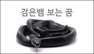 검은뱀 보는 꿈