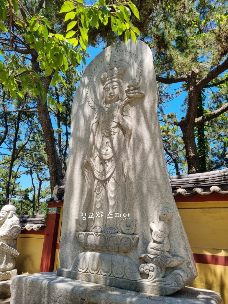 ✨부산 해동용궁사 꿀팁 총정리｜108번뇌, 절밥 공양, 교통정보까지!✨