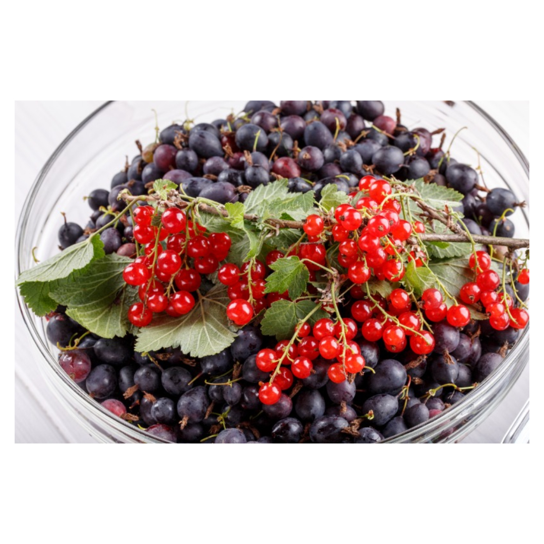 구기자와 관련된 사진입니다.