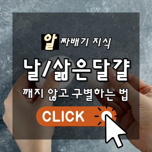 알짜배기 지식 날달걀, 삶은달걀 깨지않고 구별하는 방법 썸네일