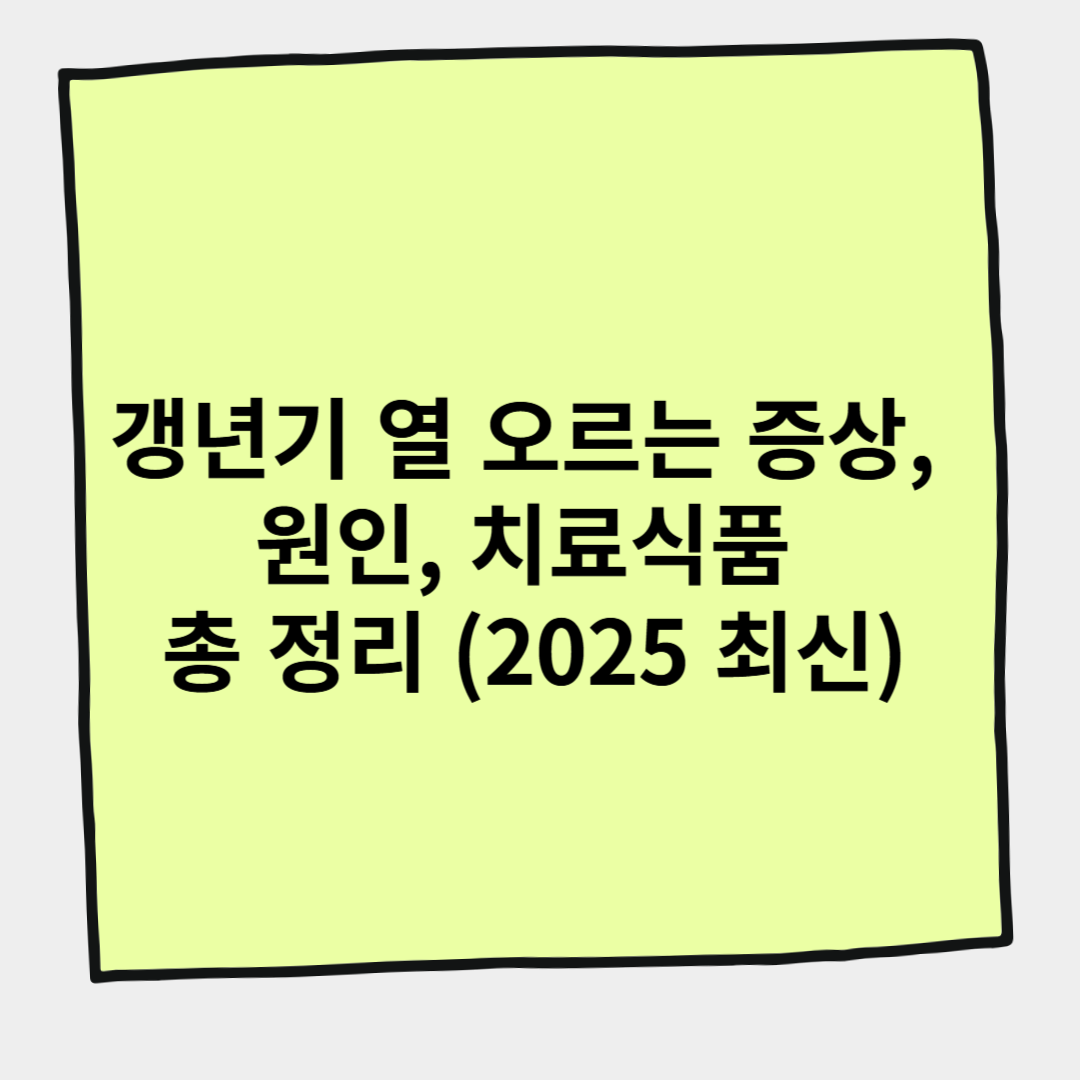 갱년기 열 오르는 증상, 원인, 치료식품 총 정리 (2025 최신)