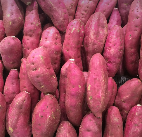 고구마 효능 부작용