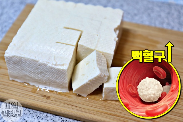 두부 보관법,두부 보관기간,두부 유통기한