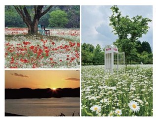 악양의 꽃길과 노을