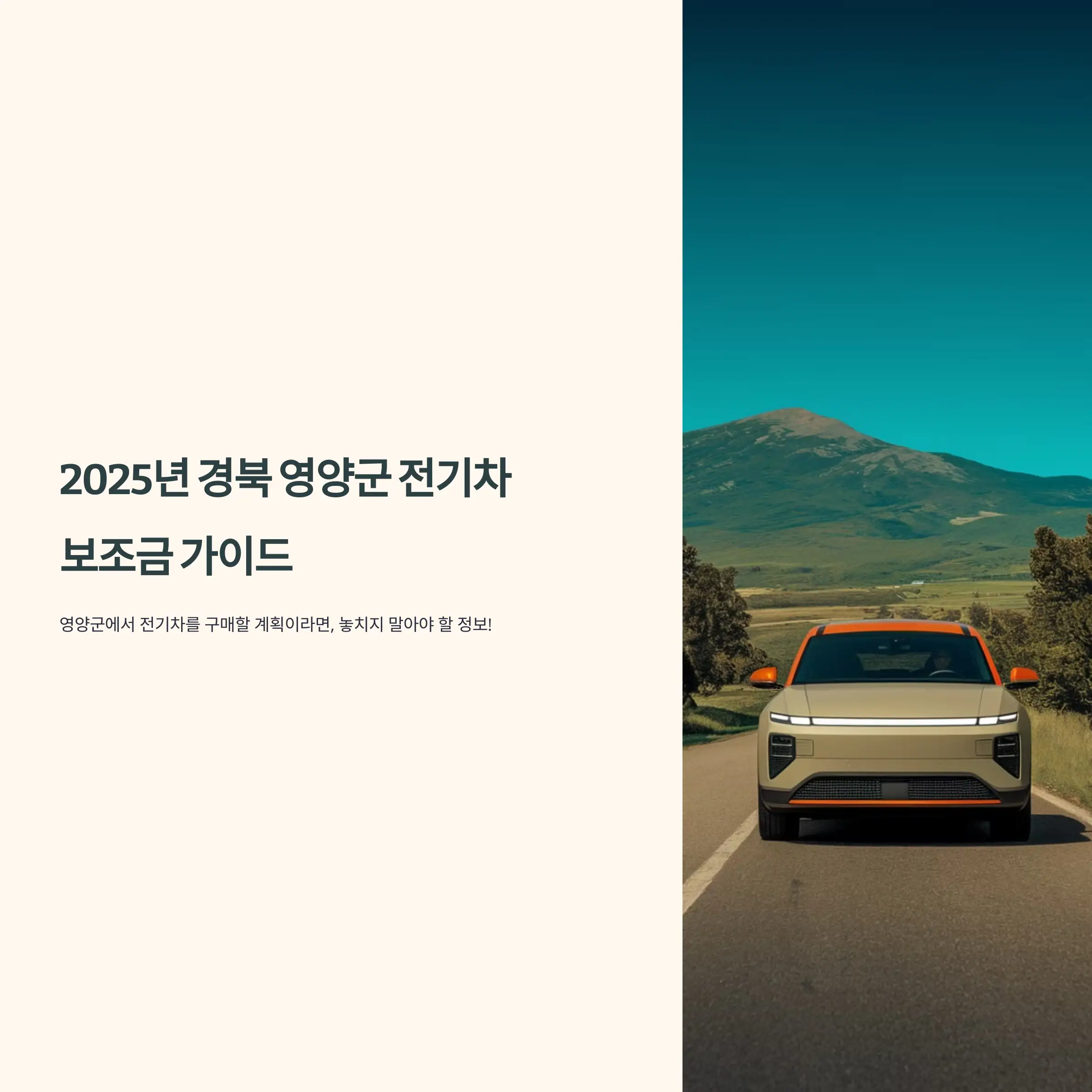 2025년 경북 영양군 전기차 보조금