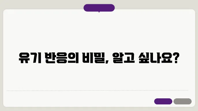 제거 반응의 전형적인 예