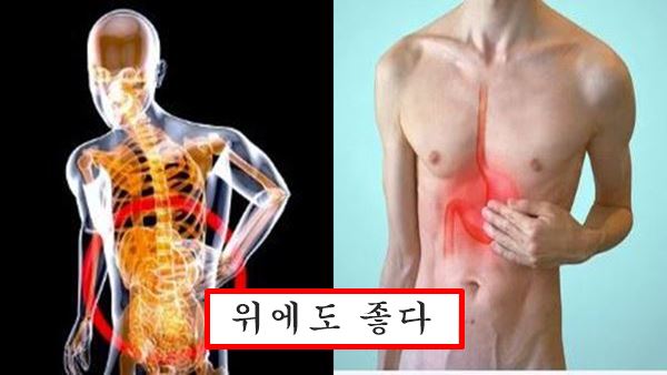 위에 좋은 음식