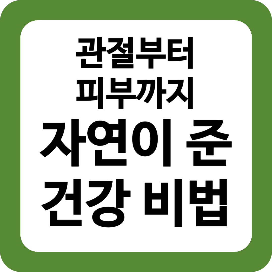당귀 효능