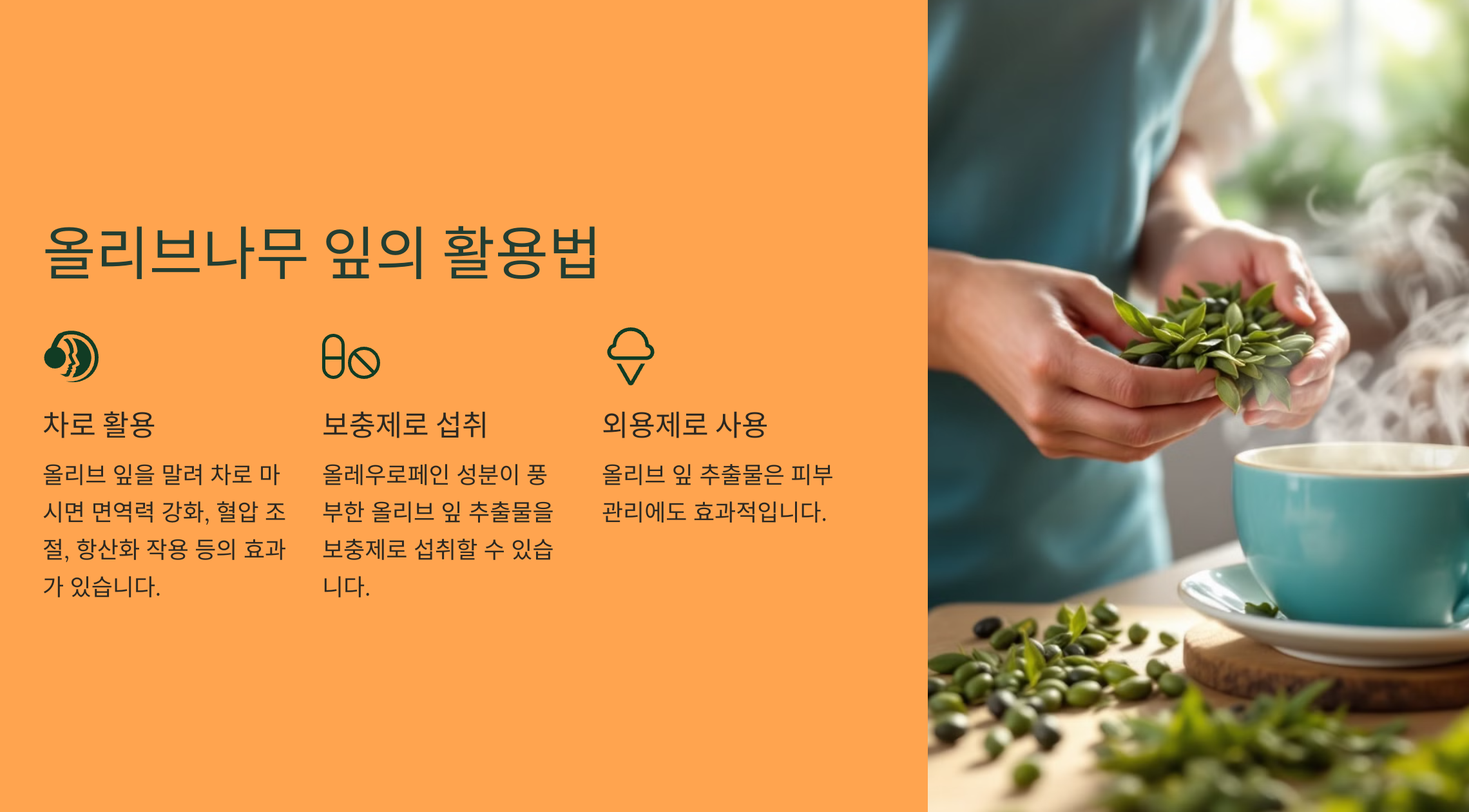 올리브나무