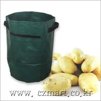 감자 재배 달력 파종 북주기 역병 관리 수확 및 저장_2