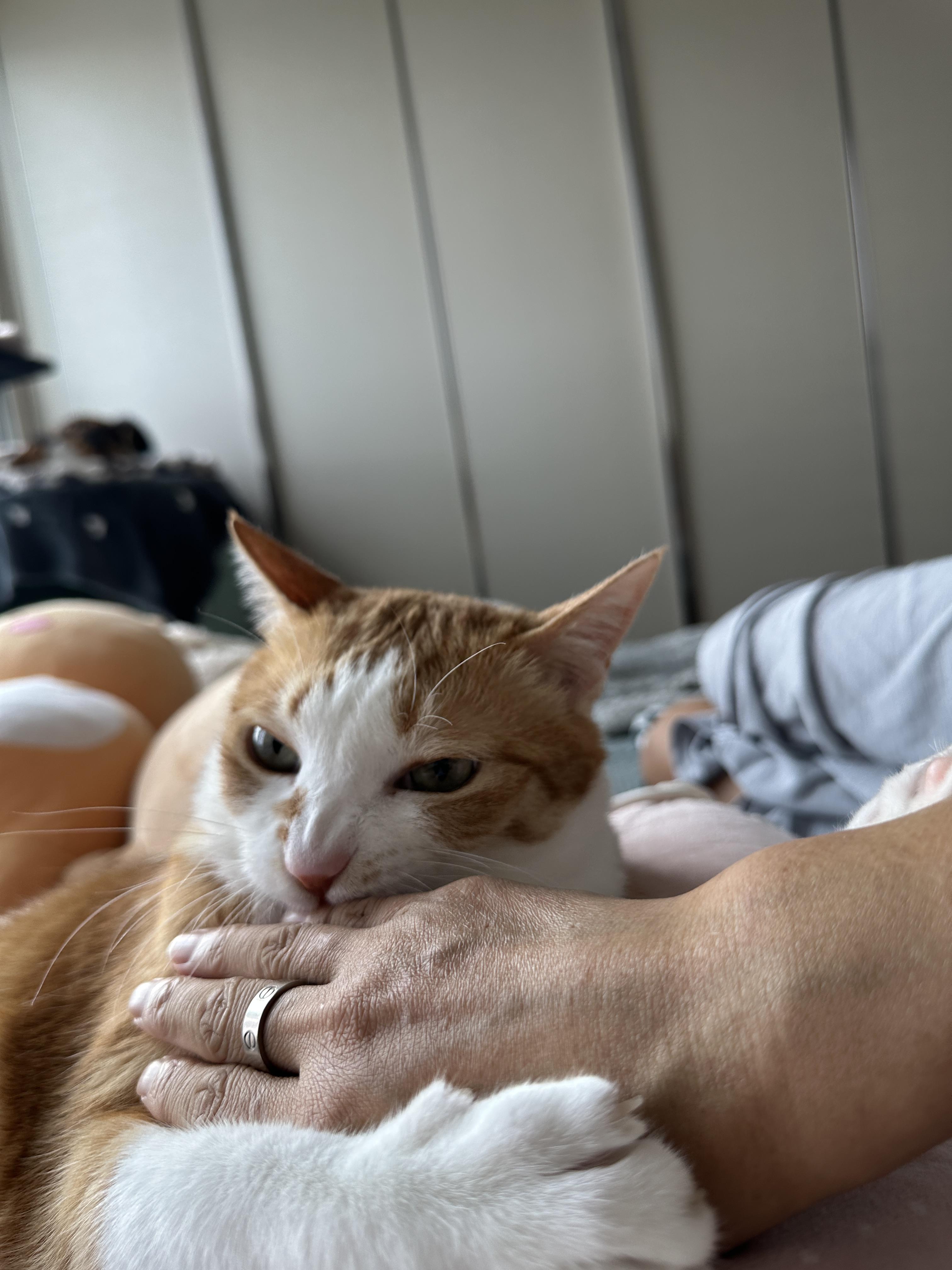 엄마_손을_움켜잡고_놓치지_않으려고_물고_있는_호야