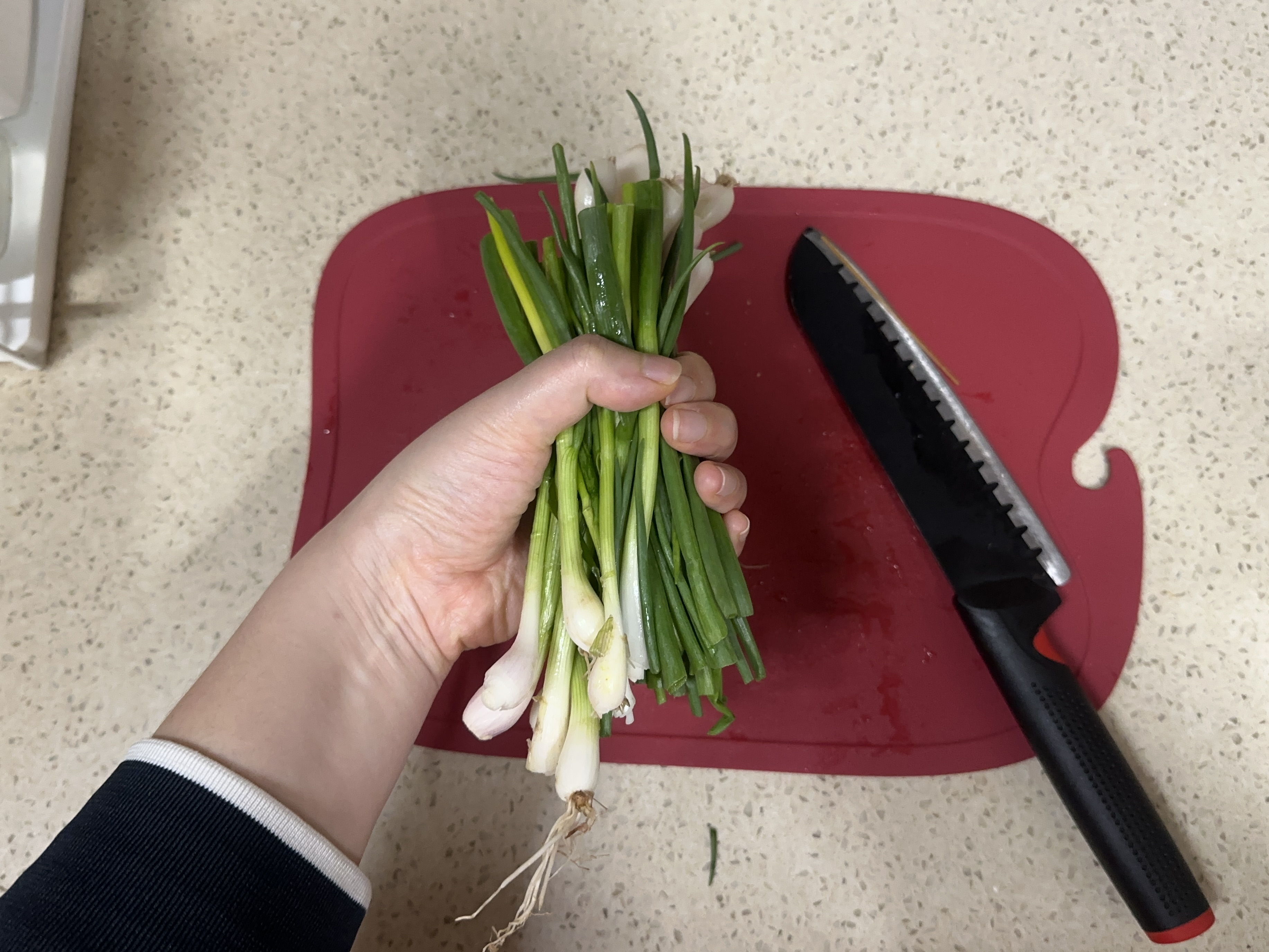 재료 손질 2