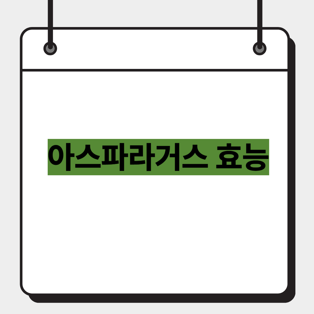 아스파라거스 효능